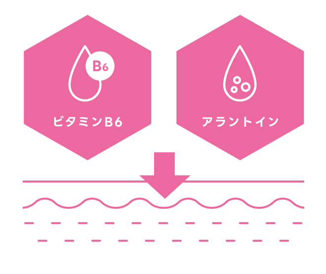 ビタミンB6とアラントインの有効成分図