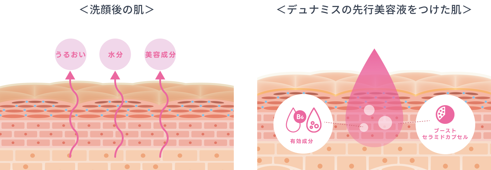 洗顔後の肌と美容液をつけた肌の比較図